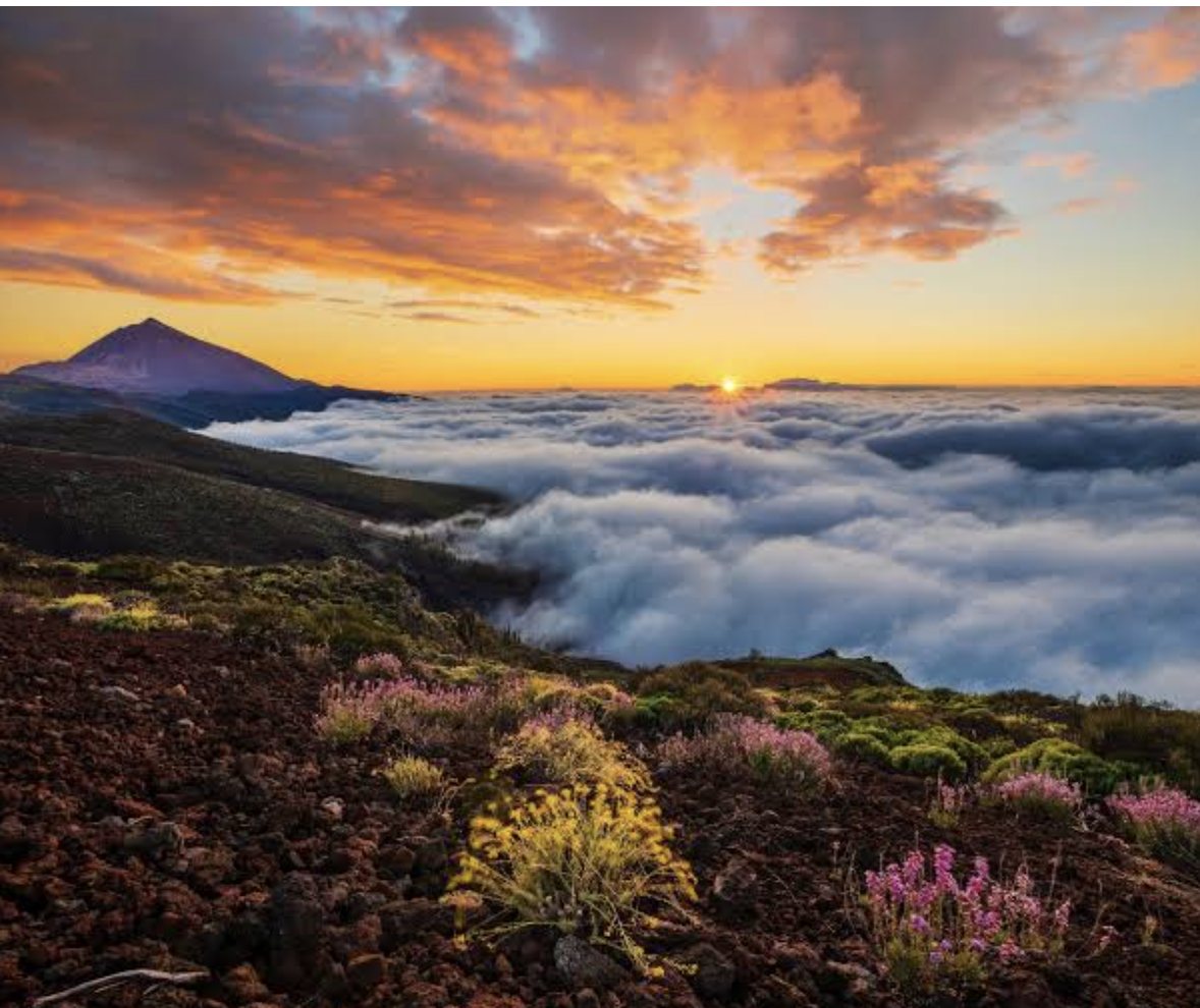 Mount Teide above a sea of clouds at sunset
